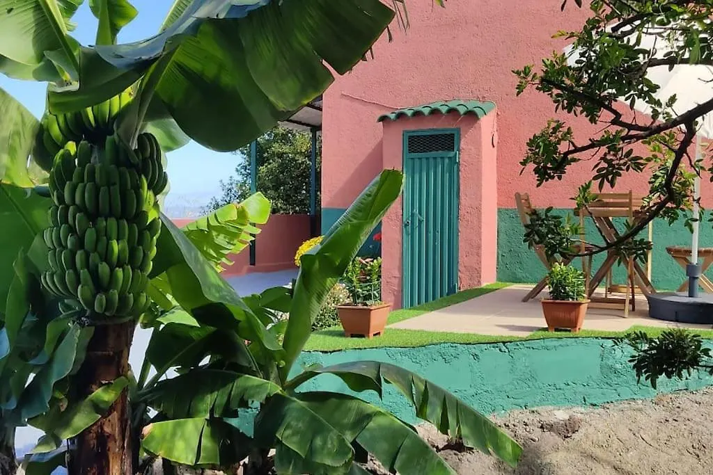 Casa Mamatina, En Los Realejos